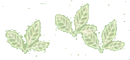 Paarpraxis logo